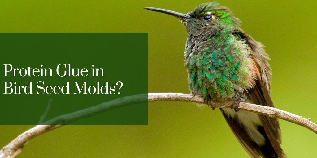 Protein Glue in Bird Seed Molds?